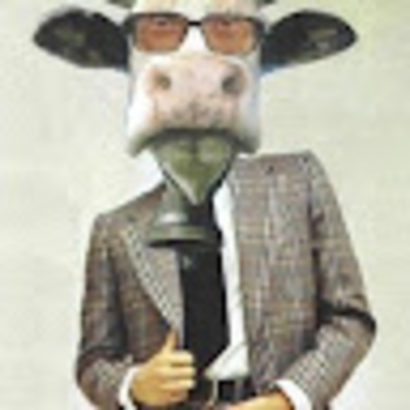 Meet your Posher, Dallas - Picture 1 of 1